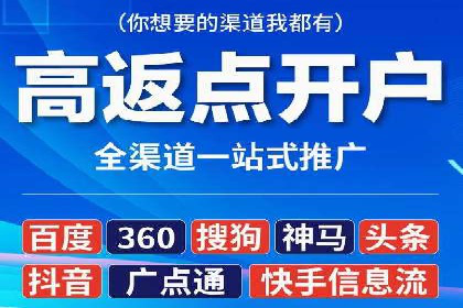 百度SEO推广公司案例分享：行业佼佼者经验