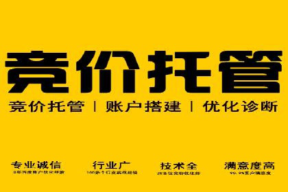 谷歌竞价案例：成功案例分析及启示